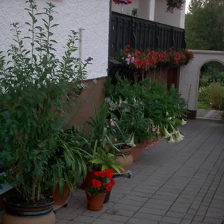 Apartment Ferienwohnung Treml Zwiesel